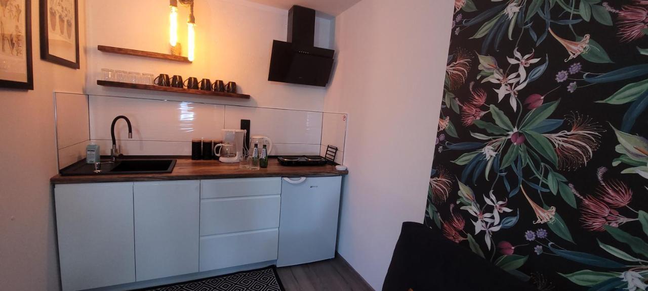 Apartamenty Pod Uwalonym Debem Jezow Sudecki 外观 照片